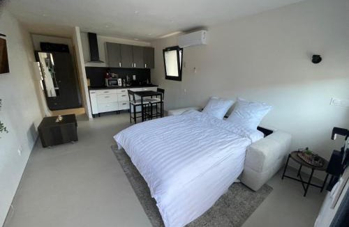 Les Hauts de Massane Apartment | Studio cosy avec terrasse
