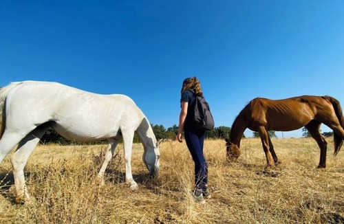 Jouques Apartment | Studio Maya surrounded by nature and horses