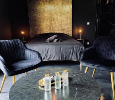 Port-Saint-Louis-du-Rhone Apartment | Suite with private Jacuzzi
