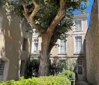 Noves Apartment | Superbe appartement rénové et cosy à 10mn de Saint-Rémy de Provence