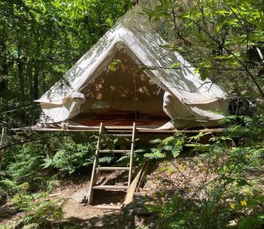 Dompnac Other | Tipi en forêt, nuits insolites en Ardèche