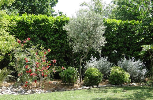 Senas Villa | Villa au Cœur de la Provence Avec Piscine