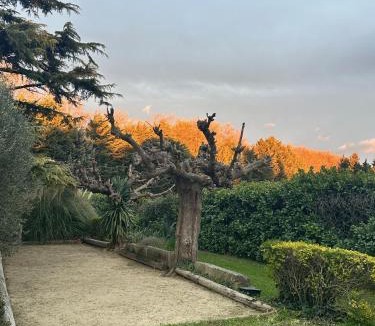 Eygalieres House | VILLA DE LA ROQUE