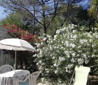 Tourrettes-sur-Loup Apartment | Villa Minouchka