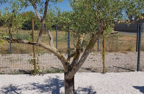 Pomerols House | Villa Neuve Proche de Marseillan Avec Piscine Chauffée