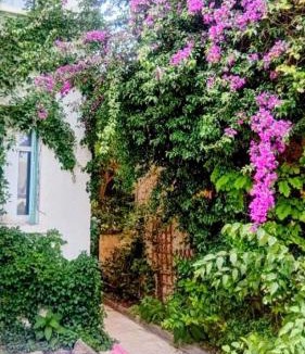 Gambetta Apartment | Villa Palma, studio indépendant dans maison de charme avec jardin en centre ville
