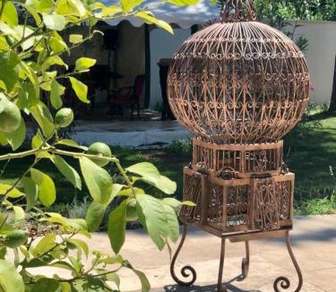 Avignon Bed & Breakfast | Villa Pauline