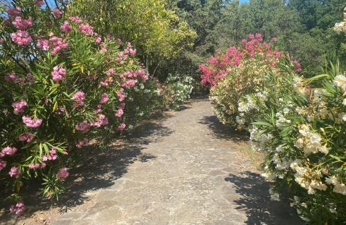 Lorgues Bed & Breakfast | Villa San Marco chambre d hôtes