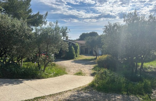 Arles Villa | Villa with swimming pool in a large garden dotted with olive trees