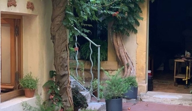 1890 shipbuilder’s home 2 mins from the river ⚓️ Le Patio d’Arles