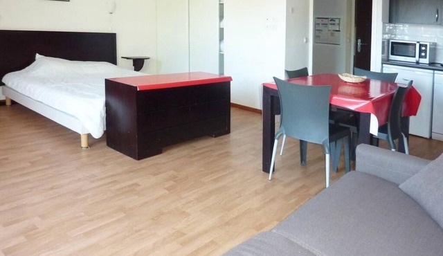 200m from shops, 1st floor, view ski slopes, swimming pool, sauna, hammam, balcony, ski locker, 33m²