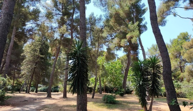 50% SUMMER SALE from September 1 to 30, 2026, at Cigalou sous les pins
