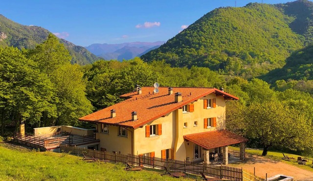 A magical farmhouse apartment nestled in the silence