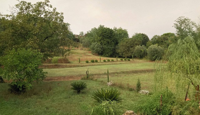 Accommodations in a medieval tower in Lucca, surrounded by the tranquility of nature