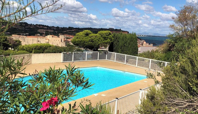 Air-conditioned 2-star ground floor apartment with swimming pool 5 minutes' walk from Collioure 🐶ok