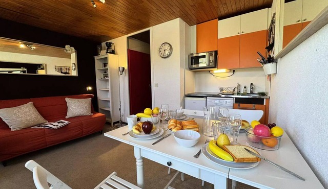 APARTMENT AT THE FOOT OF THE SLOPES, VARS
