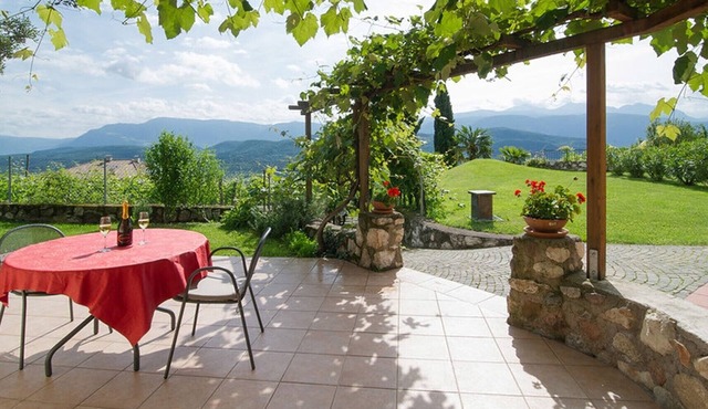 Apartment 'Laurin' with Vineyard & Mountain Views