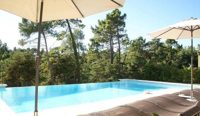 Apartment Montauroux near Lake Cassien