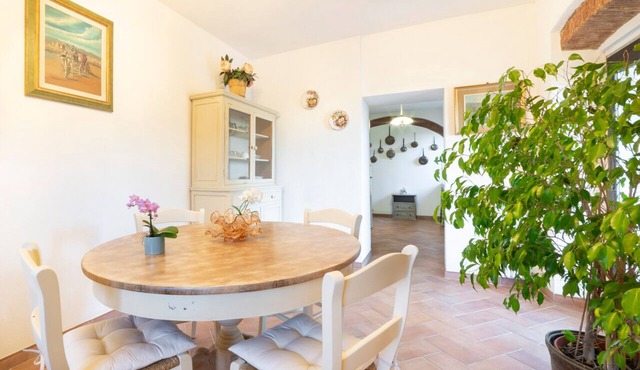 Apartment with pool in Chianti