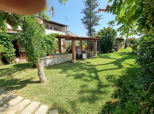 Asparano in Ognina