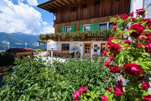 B & B Apartments Ortlerblick