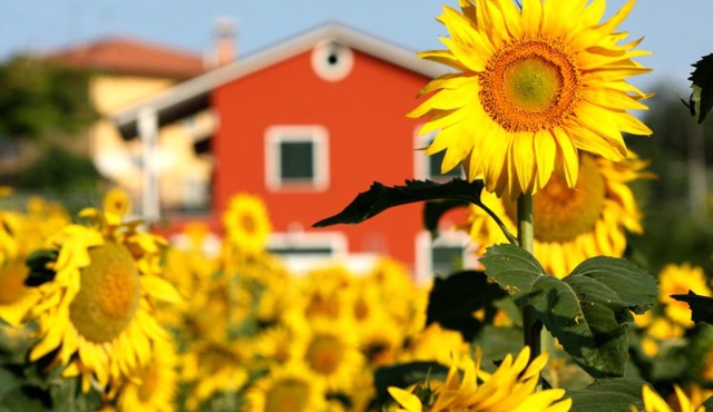 b&b DOREMI in Osimo