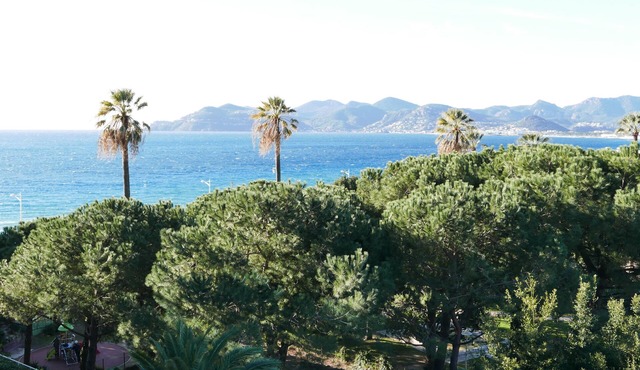 Beautiful bright apartment 2 rooms 40 m2 to 80 m from the beach, sea view