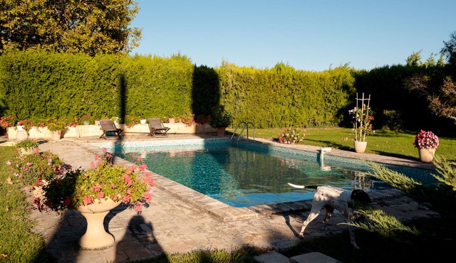 Between Camargue and Alpilles, part of an air-conditioned farmhouse with swimming pool