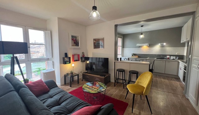 Bright apartment overlooking the Tarn