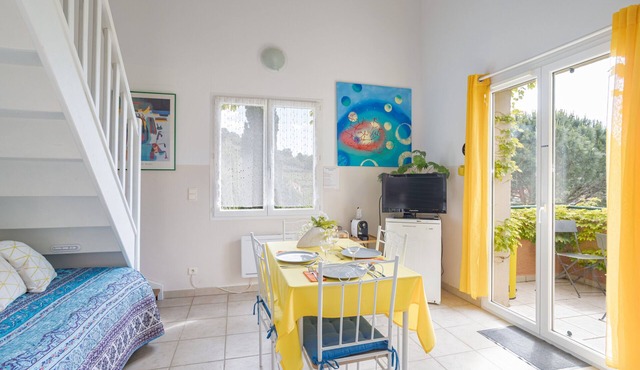 Charming Apartment Padiolka with Panoramic Views in Collioure