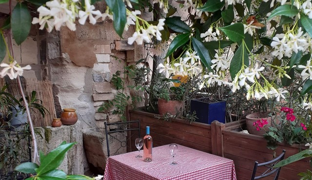 Charming in the center of the village of Maussane Les Alpilles with patio