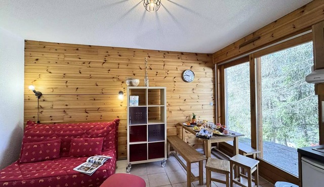 COCOONING APARTMENT IN VARS