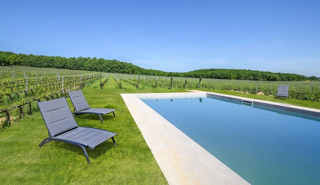Comfortable accommodation in a farmhouse in the middle of a prestigious wine-growing area in the hil