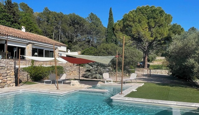 Domaine in Provence, vinyard