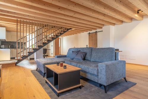 Duplex Cermis