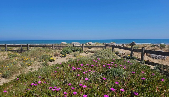 Facing the sea, House 80m2, 3 bedrooms, Large terrace