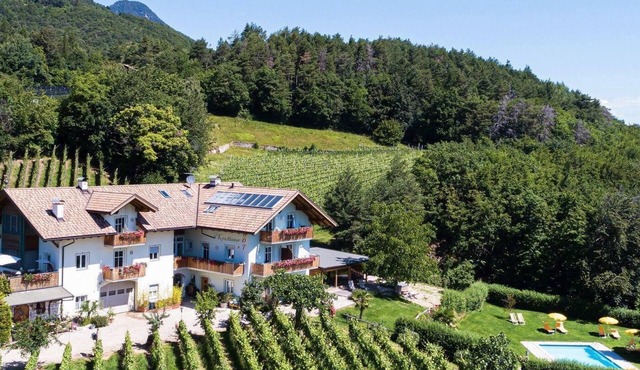 Flat Merlot in Kurtatsch with panoramic view