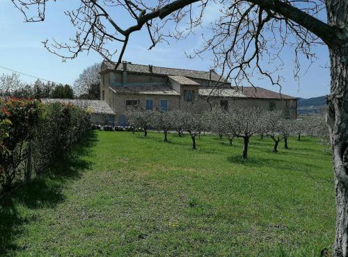 Gîte Amande Domaine de L'Annonciade
