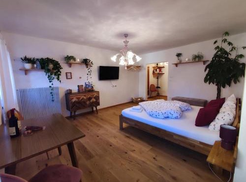 Gemütliches Studio mit Garagenparkplatz