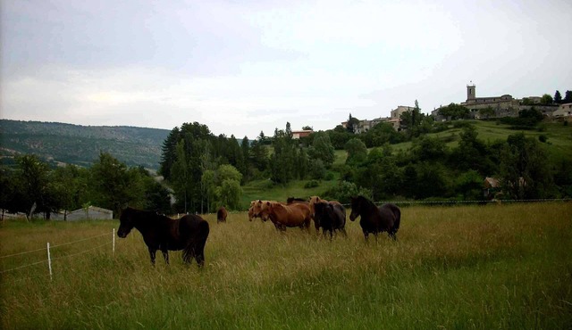 GITE PROVENCE LUBERON, PACA REGION