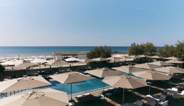 Hôtel Plage Palace & Spa