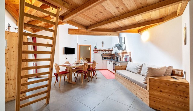 Holiday Apartment "Larch Soge Apt Paula" with Mountain View, Private Terrace & 2 Balconies