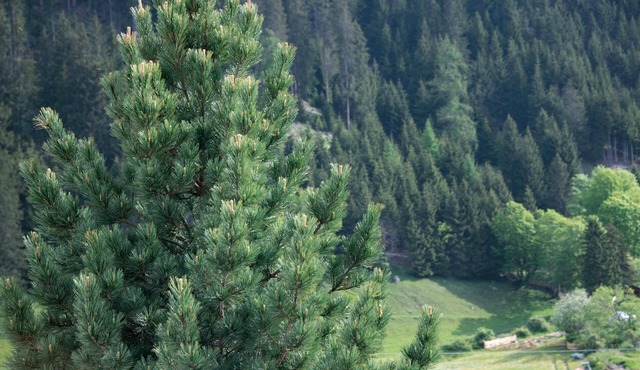 Holiday Apartment 'Miramor Kollina' with Mountain View, Shared Garden & Wi-Fi