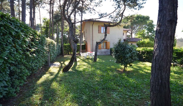 Holiday apartment with air conditioning