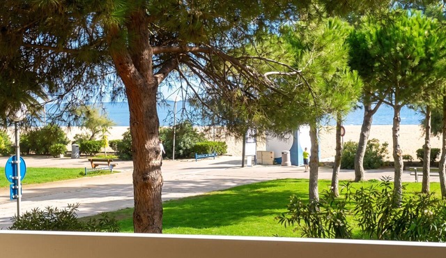 Homerez - Studio in Argelès-sur-Mer, sea view