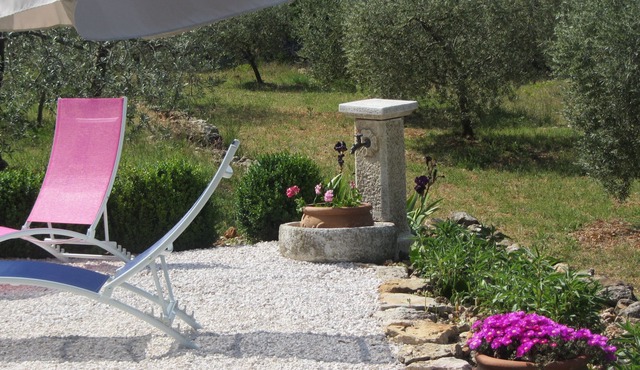 House in the heart of green Provence, in the middle of nature, pets welcome!