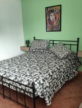 Il Tulipano