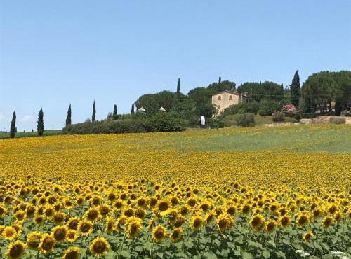 Il vecchio seccatoio