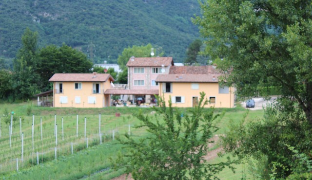 In the countryside near Garda Lake