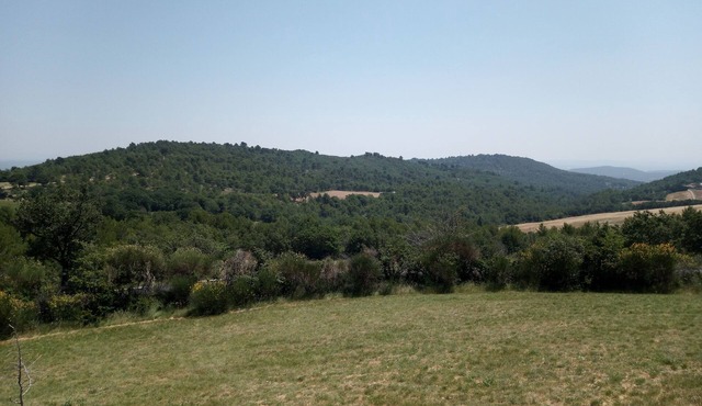 L'amphitryon